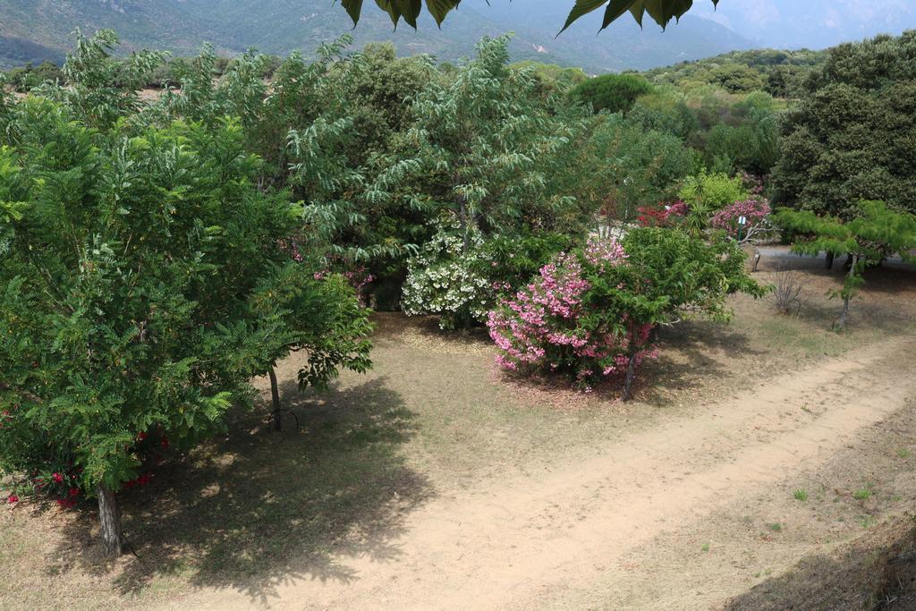 Camping Les Couchants Casaglione Exteriér fotografie